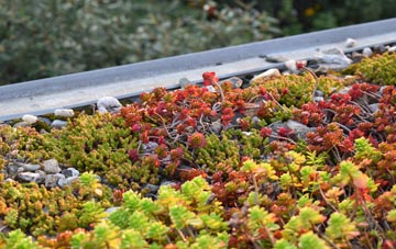 the cost of Wofferwood Common green roof installation